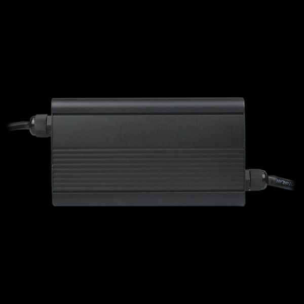 LiFePO4 мод.12V (14.6V)-20A-240W Зарядний пристрій для акумуляторів 28978 фото