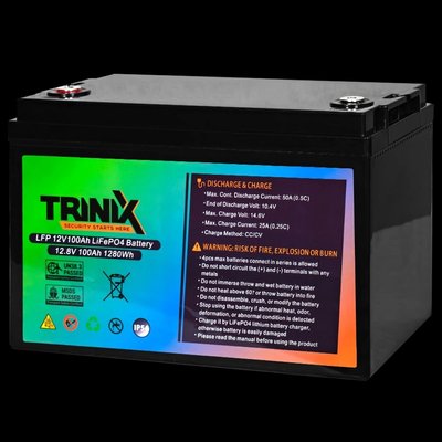 TRINIX LiFePo4 100 Ah 12V Акумуляторна батарея 31398 фото