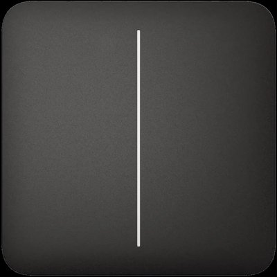 Ajax SoloButton (2-gang) [55] black Кнопка двуклавишного выключателя 28852 фото